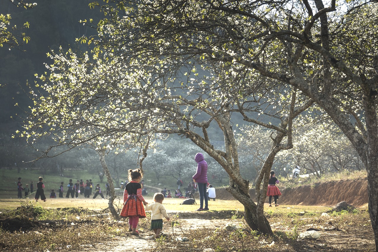 Exploring the Unique Nature of the Hmong Heeler